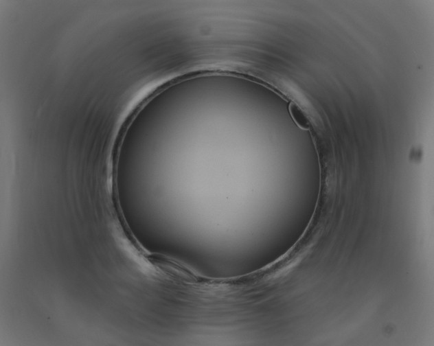 X0000092320940200709281403