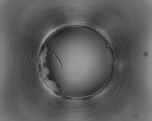 X0000092320941200709281403