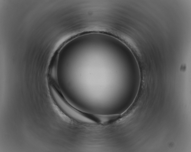 X0000092320942200709281403