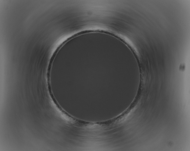X0000092320943200709281403