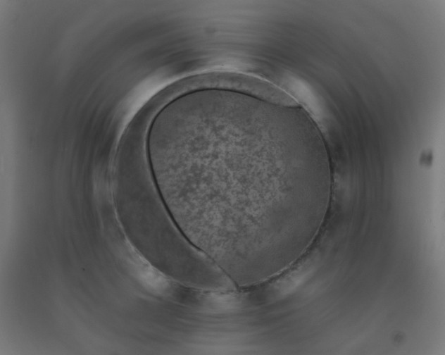 X0000092320948200709281403