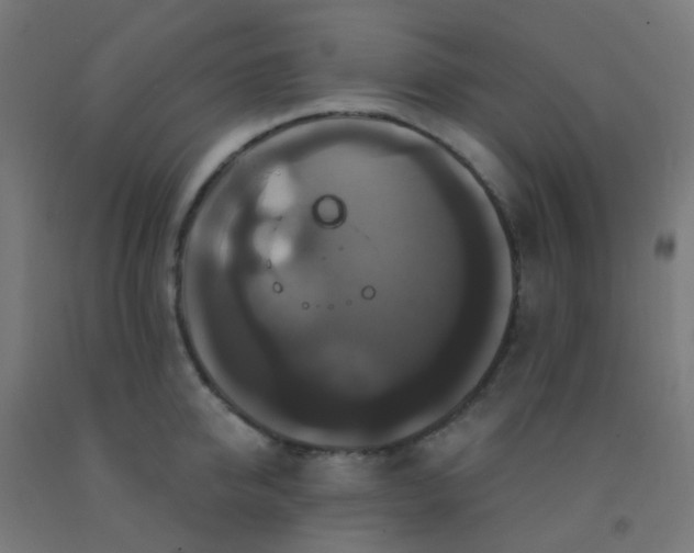 X0000092320950200709281403