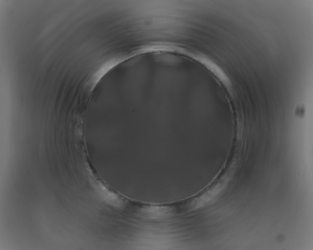 X0000092320953200709281403