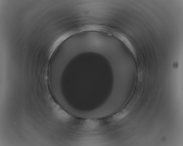 X0000092320954200709281403