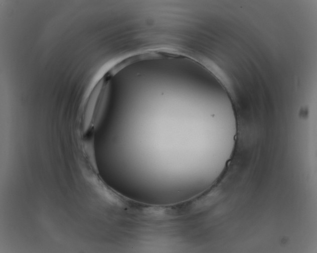 X0000092320956200709281403