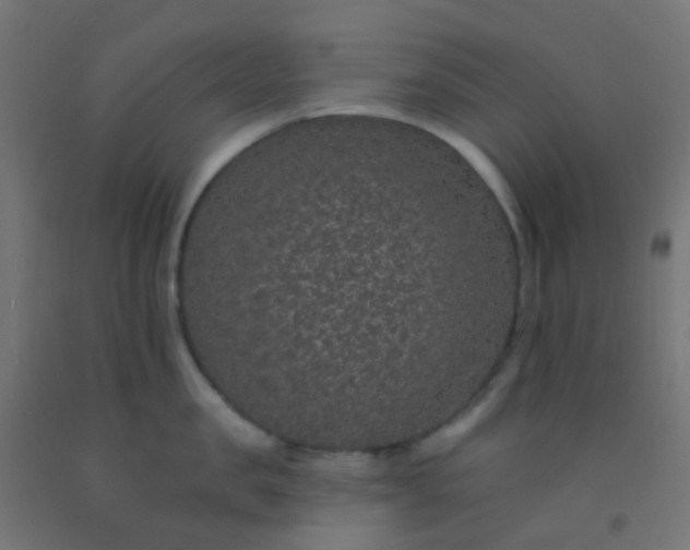 X0000092320957200709281403
