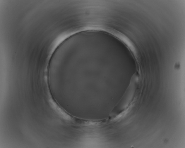 X0000092320958200709281403