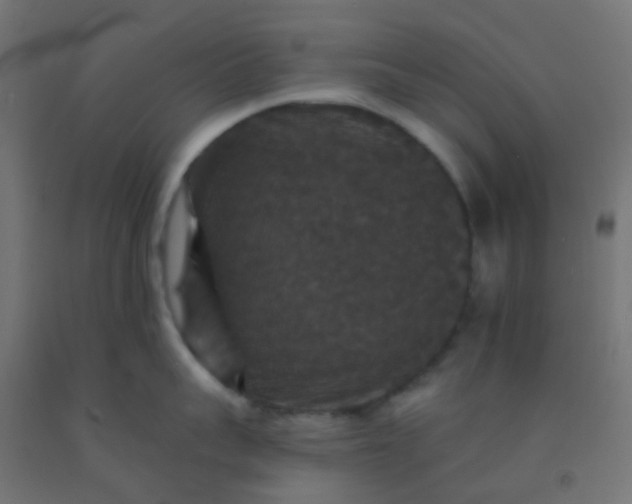 X0000092320959200709281403