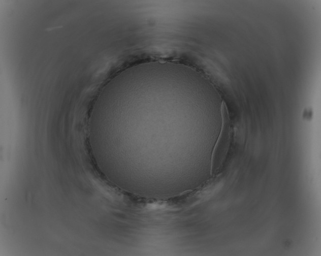 X0000092320961200709281403
