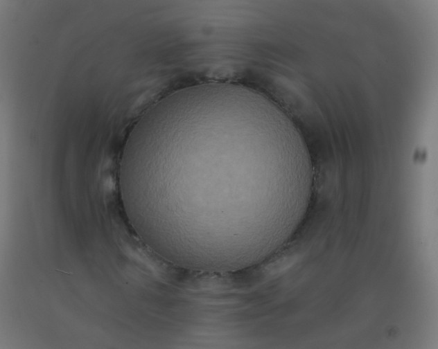X0000092320962200709281403