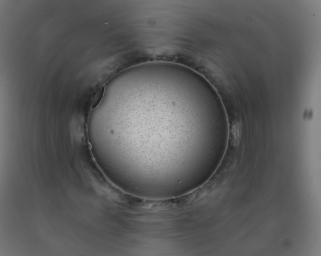 X0000092320963200709281403