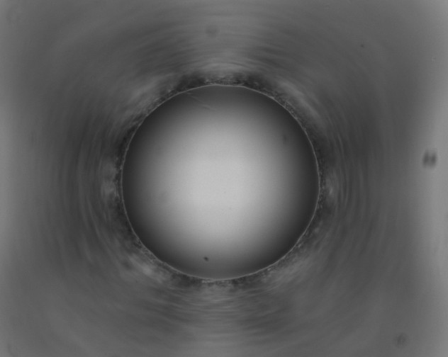 X0000092320964200709281403