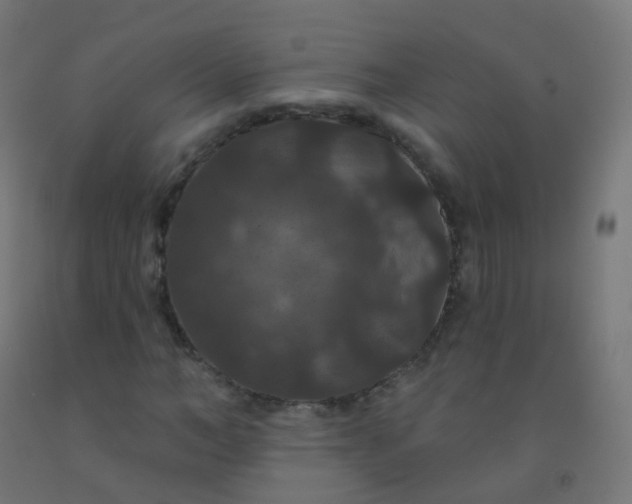 X0000092320966200709281403