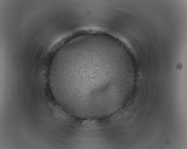 X0000092320967200709281403