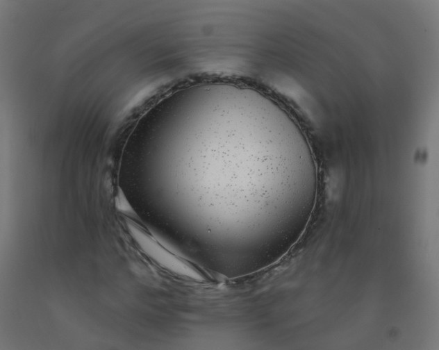X0000092320968200709281403