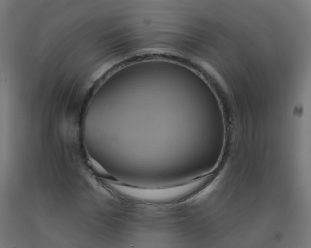 X0000092320969200709281403