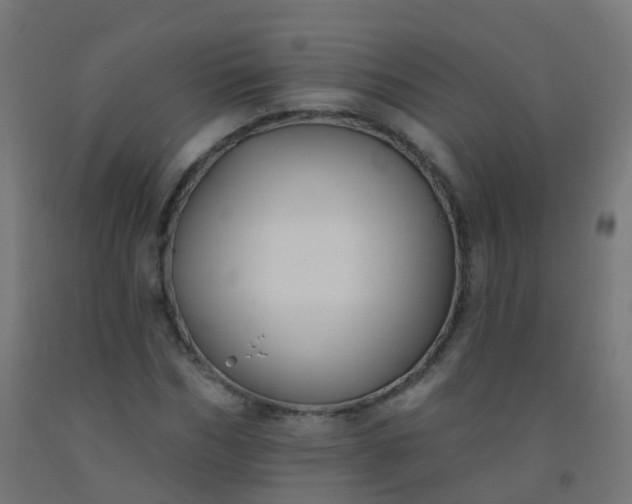 X0000092320970200709281403
