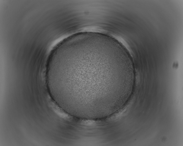 X0000092320971200709281403