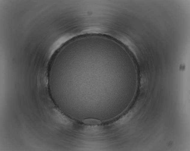X0000092320973200709281403