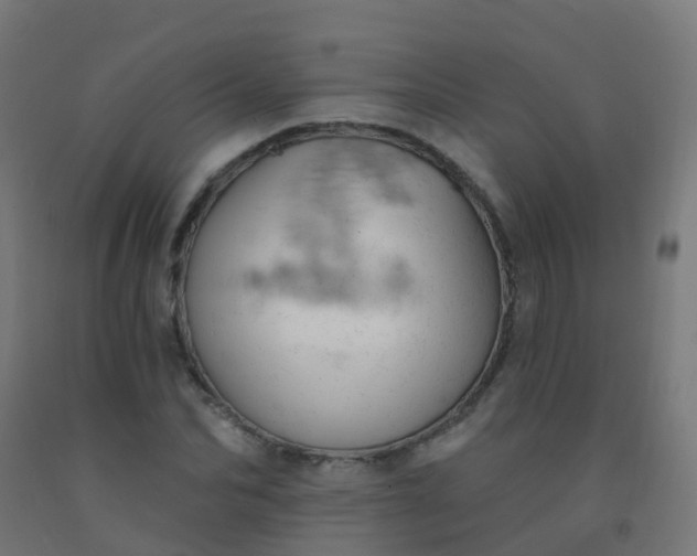 X0000092320974200709281403