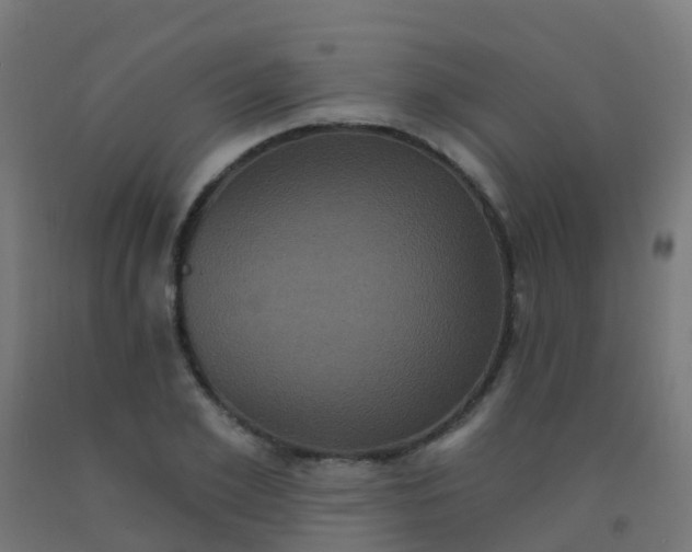 X0000092320981200709281403