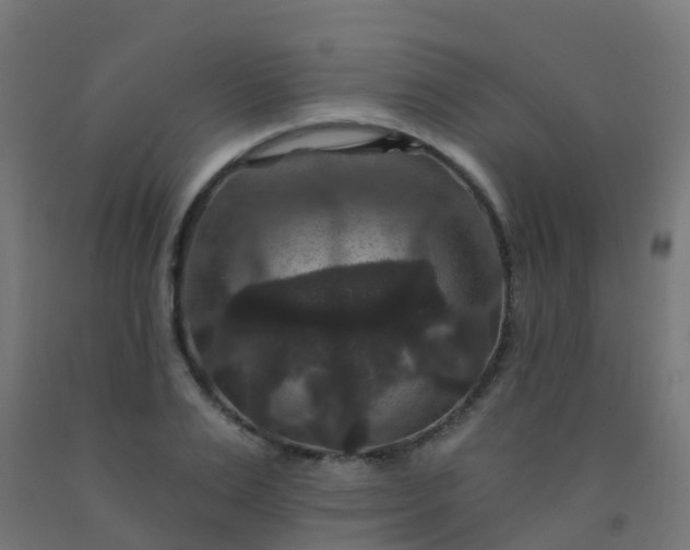 X0000092320983200709281403