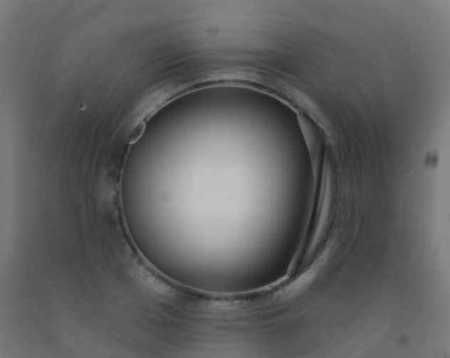 X0000092320985200709281403