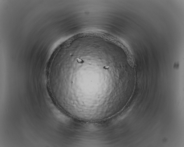 X0000092320987200709281403