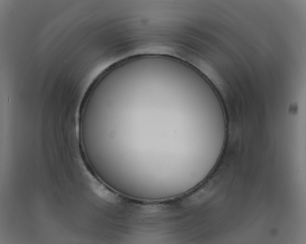 X0000092320988200709281403