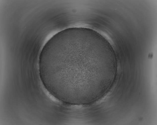 X0000092320990200709281403