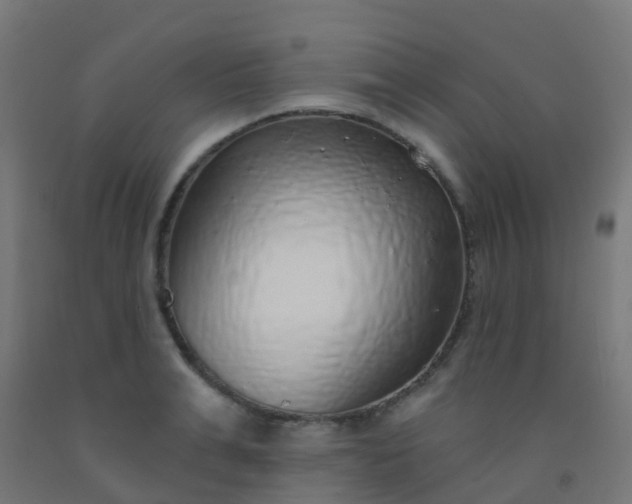 X0000092320991200709281403