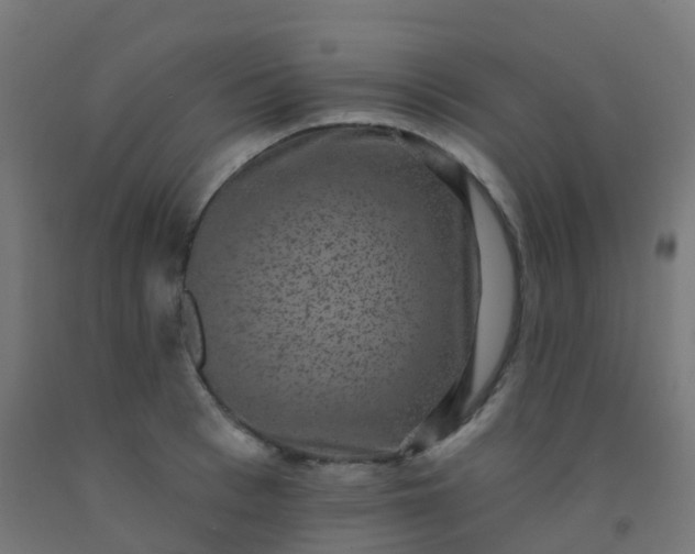 X0000092320993200709281402