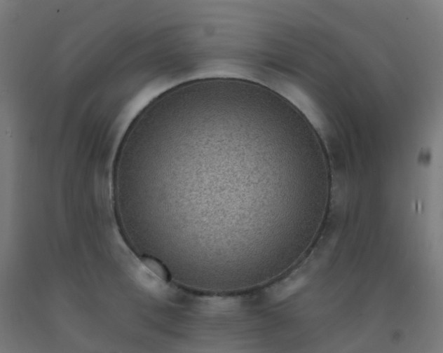 X0000092320996200709281402