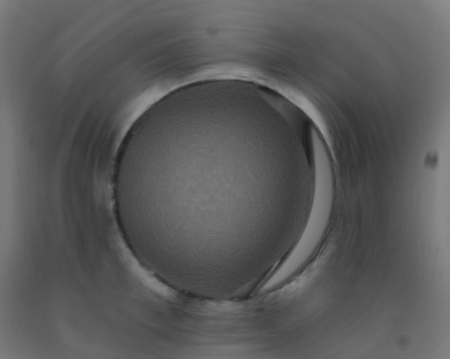 X0000092320997200709281402