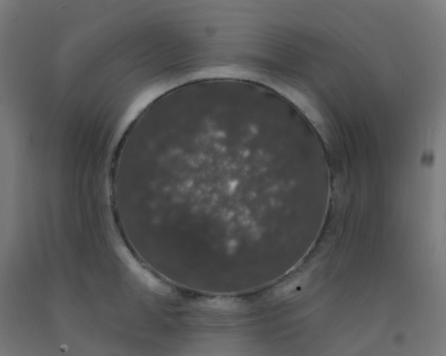 X0000092320998200709281402