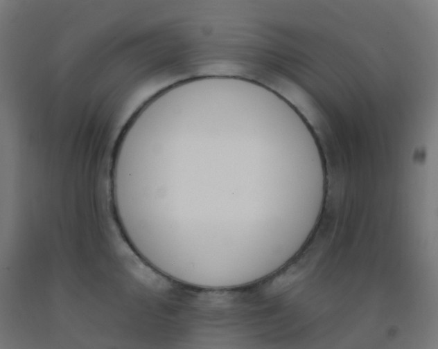 X0000092321000200709281402