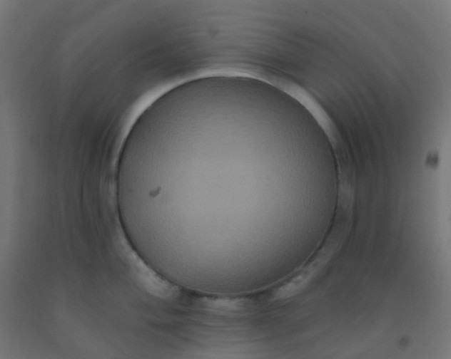 X0000092321004200709281402