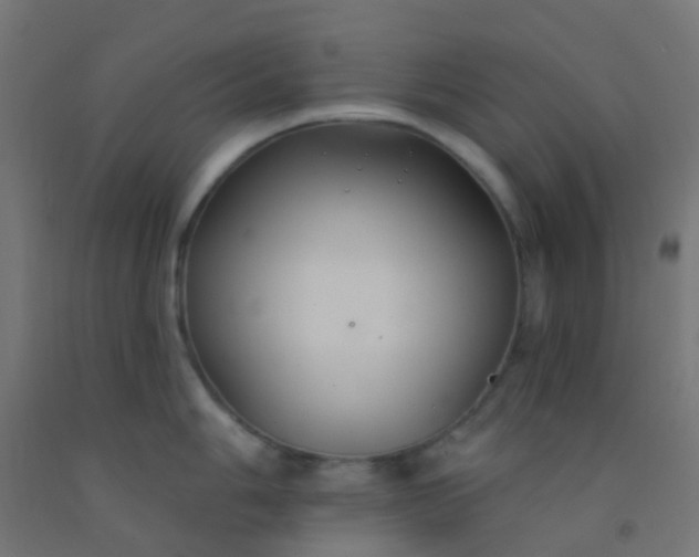 X0000092321006200709281402