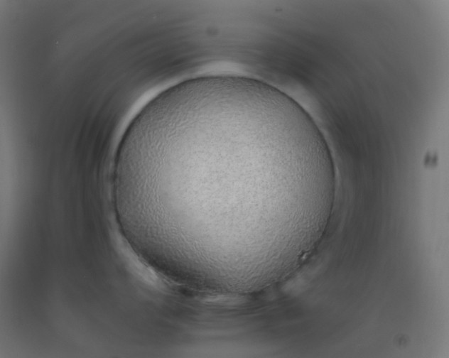 X0000092321008200709281402