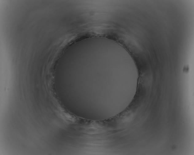 X0000092321009200709281402