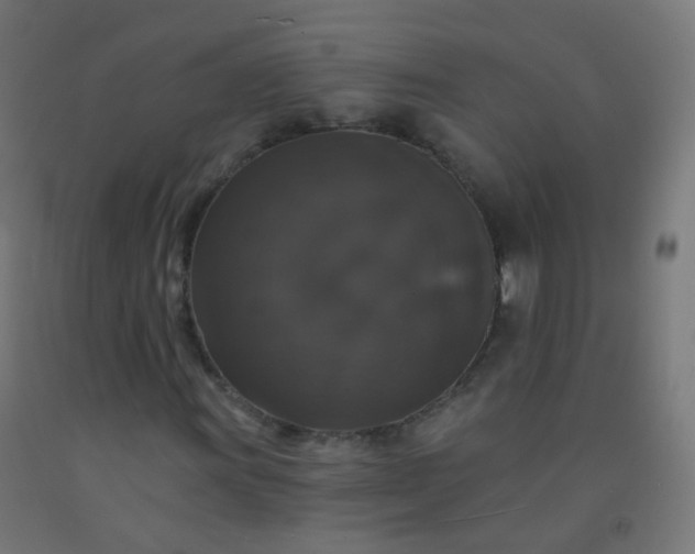 X0000092321011200709281402