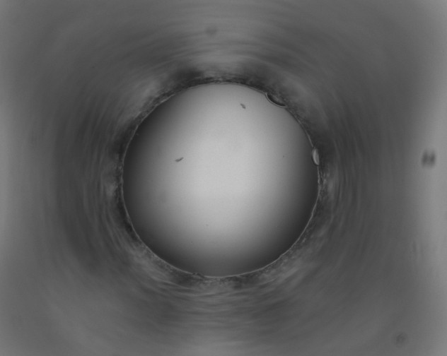 X0000092321012200709281402