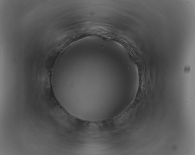 X0000092321013200709281402