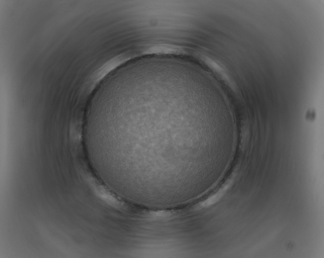 X0000092321017200709281402