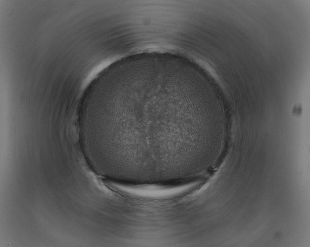 X0000092321018200709281402