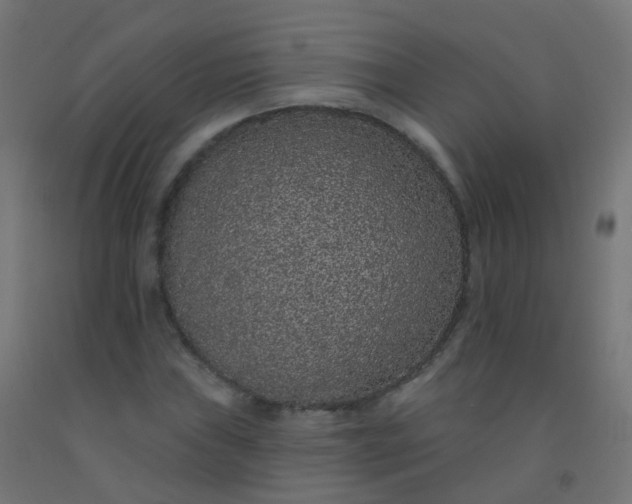 X0000092321019200709281402
