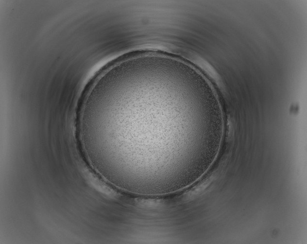 X0000092321020200709281402