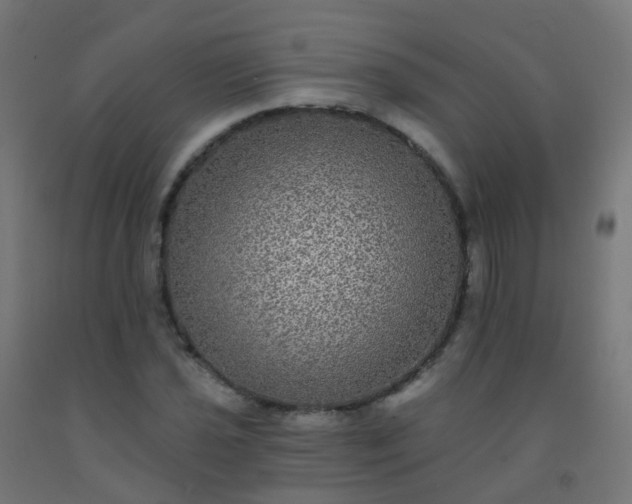 X0000092321021200709281402