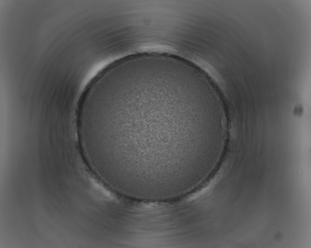 X0000092321022200709281402