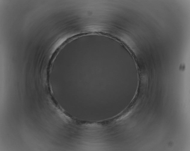 X0000092321023200709281402